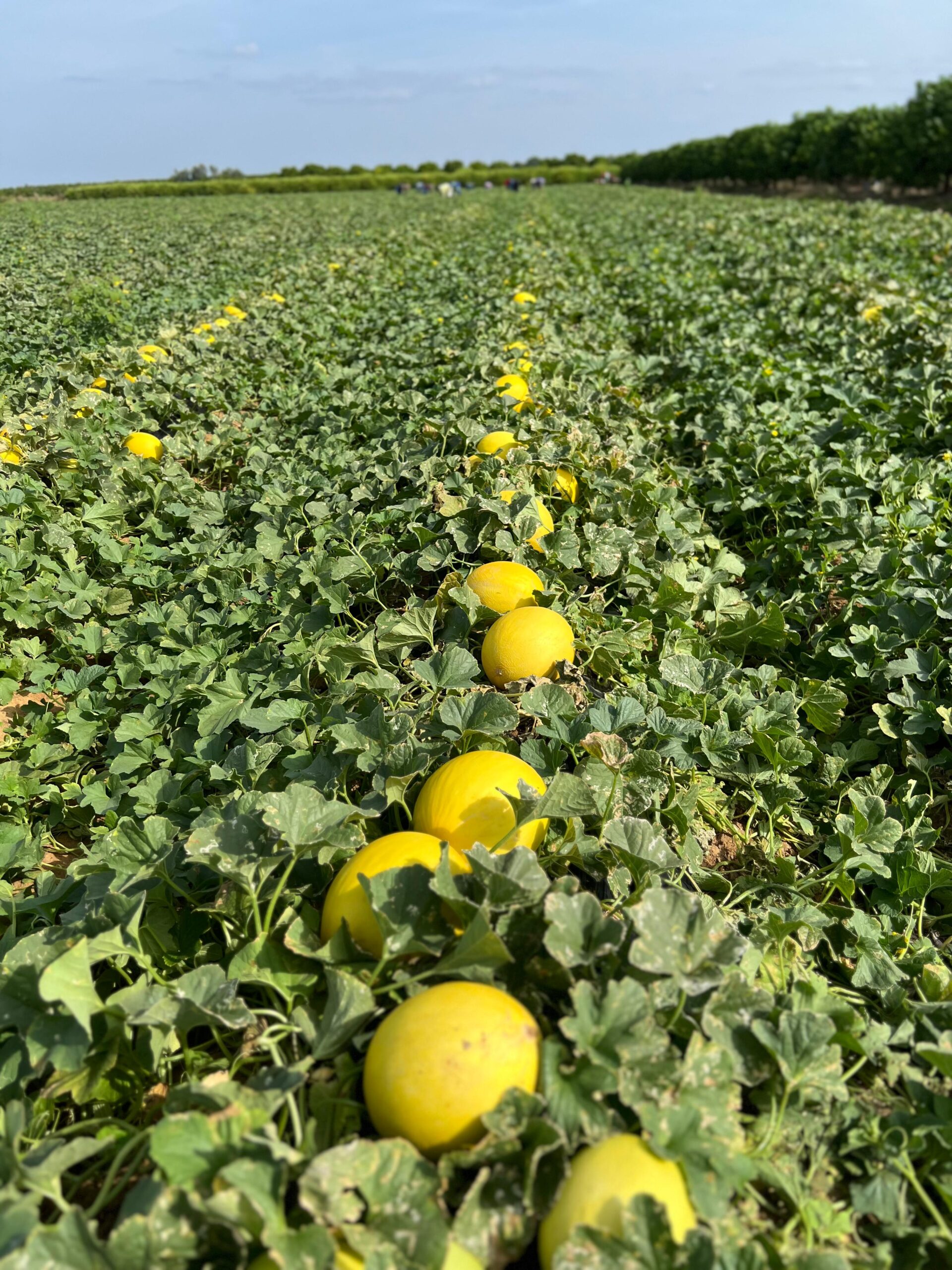 WhatsApp Image 2025 12 19 at 10.45.16 scaled